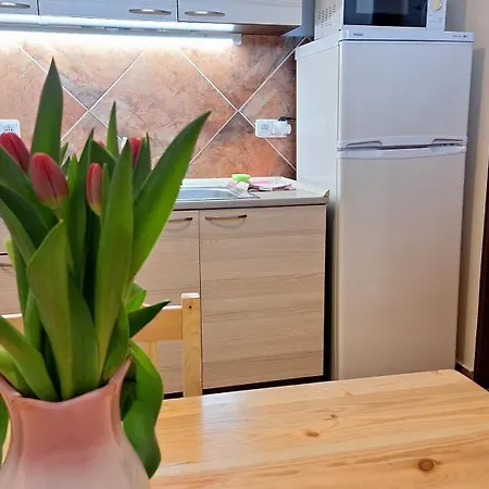 V Roklich & Apartmens V Roklich 招待所 3*