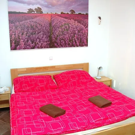Casa de hóspedes V Roklich & V Roklich Říčany
