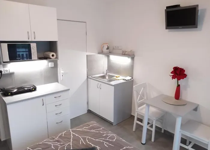 Guest house V Roklich 3*