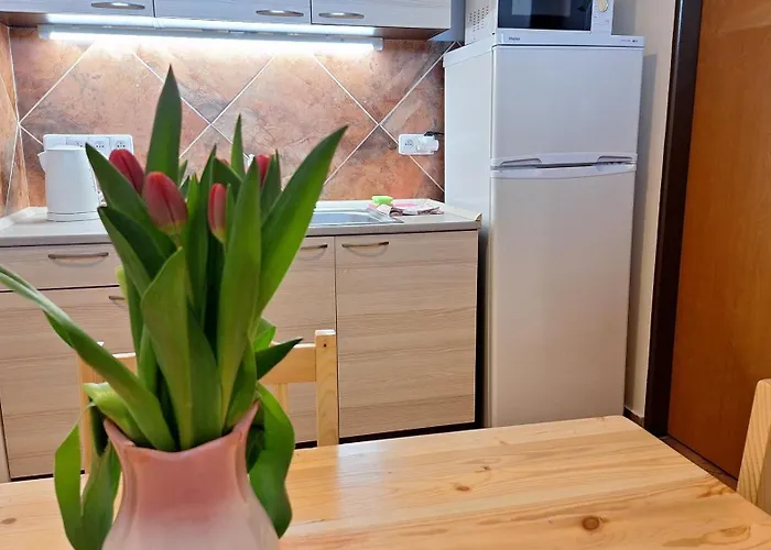 V Roklich Guest house 3*