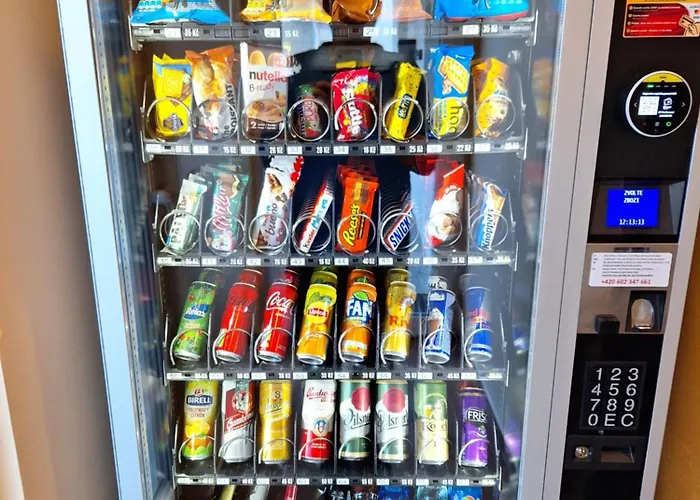 V Roklich 3* Ricany (Central Bohemian)