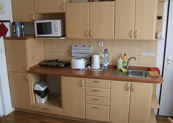 ゲストハウス V Roklich & V Roklich