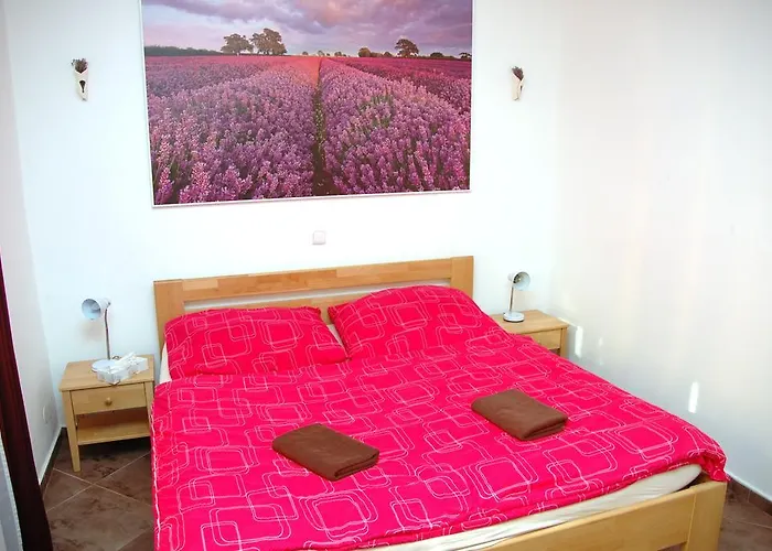 Casa de hóspedes V Roklich & V Roklich Říčany