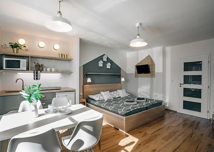 V Roklich & V Roklich ゲストハウス