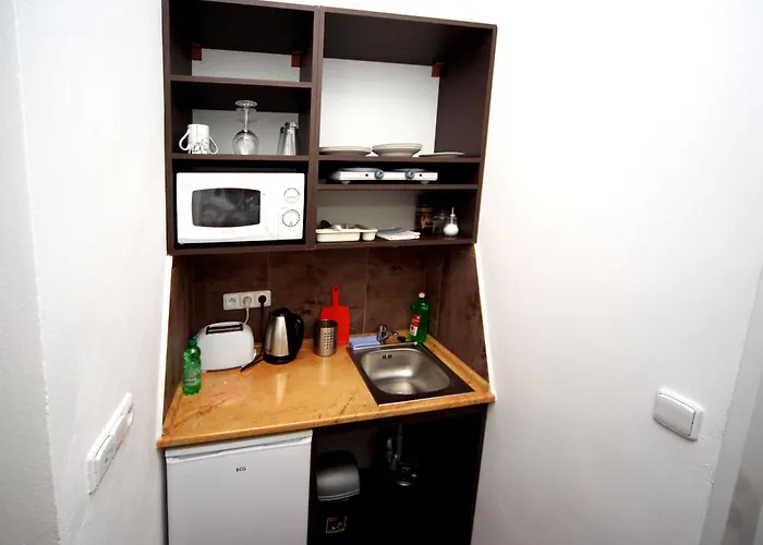 Guest house V Roklich 3*