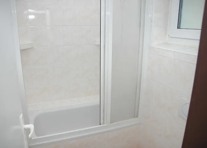 V Roklich & V Roklich ゲストハウス